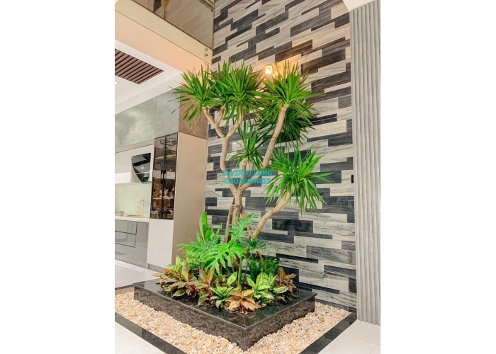 Đá Sọc Dưa 3D