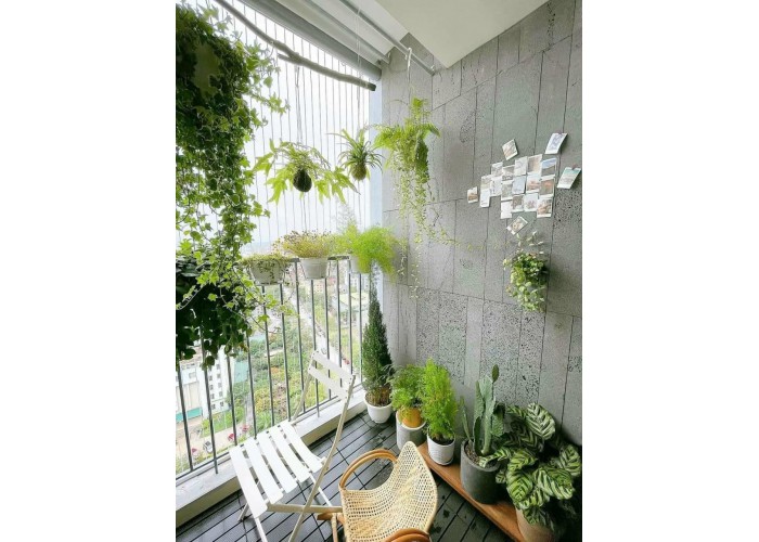 Đá Ong Xám ỐP Cánh Gà